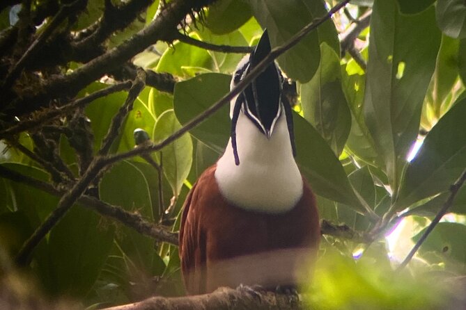 Monteverde Cloud Forest Tour - Recommended Experiences