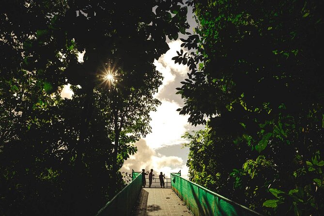 Monteverde Combo: Cable Car, Zipline, Hanging Bridges - Highlights of the Experience