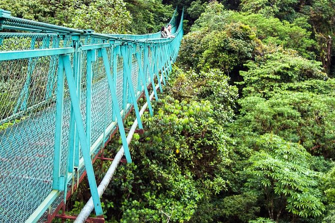 Monteverde Hanging Bridges Day Trip From San Jose - Tour Overview