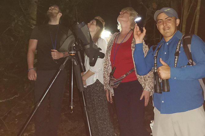 Monteverde Night Tour - Wildlife Sightings Potential