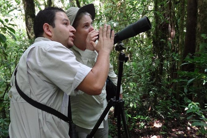 Monteverde Reserve Birding Tour With Esteban Daily Guided Tours - Accessibility and Participation
