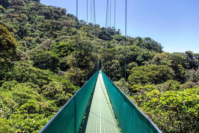 Monteverde Sky Tram & Hanging Bridges Cloud Forest Tour From San Jose - Important Considerations