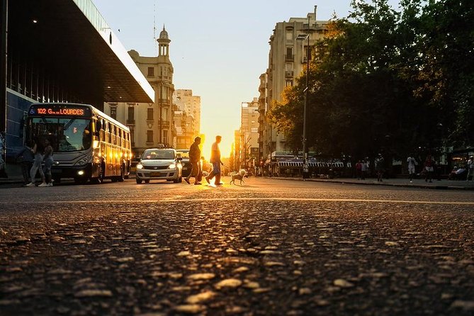 Montevideo Private City Tour With Dinner Included and Tango Show - Itinerary Details