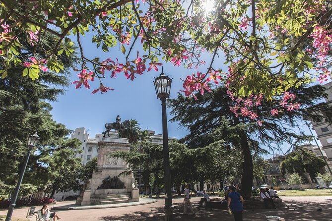 Montevideo Private Full Day Tour From Buenos Aires - Professional Local Guide