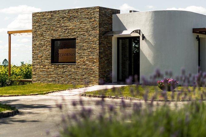Montevideo Wine Tour With Tasting and Lunch - Pricing and Reviews