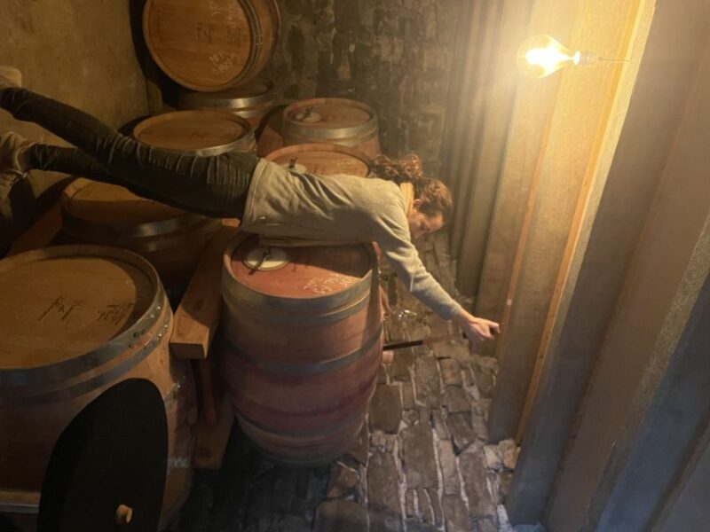 Montpellier: A Day in a Vineyard at Pic Saint Loup - Key Points