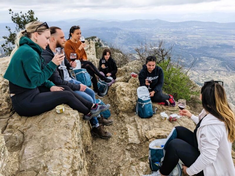 Montpellier: A Day in a Vineyard at Pic Saint Loup - Winery Tour and Cellar Visit