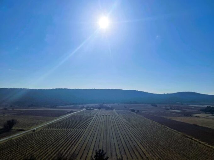 Montpellier: A Day in a Vineyard at Pic Saint Loup - Preparation for the Day