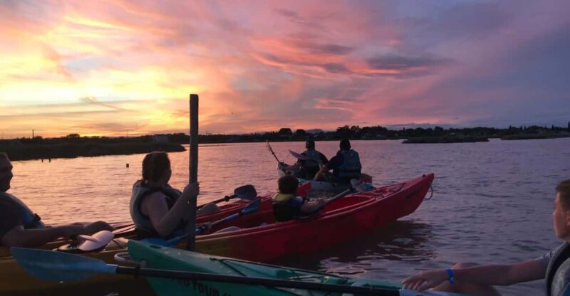 Montpellier: Birdwatching by Kayak in Camargue - Key Points