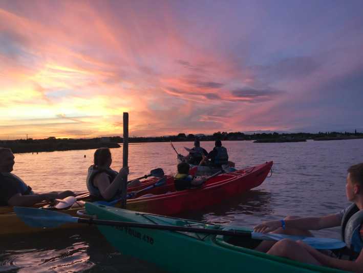 Montpellier: Birdwatching by Kayak in Camargue - Experience Highlights