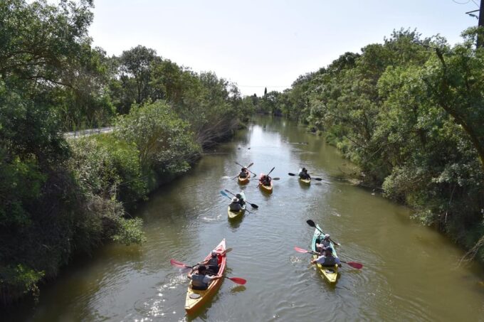 Montpellier: Birdwatching by Kayak in Camargue - Wildlife Spotting Opportunities
