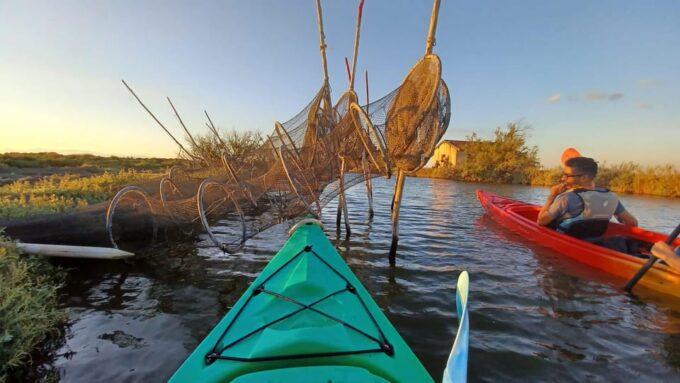 Montpellier: Birdwatching by Kayak in Camargue - Sunset Kayaking Excursion