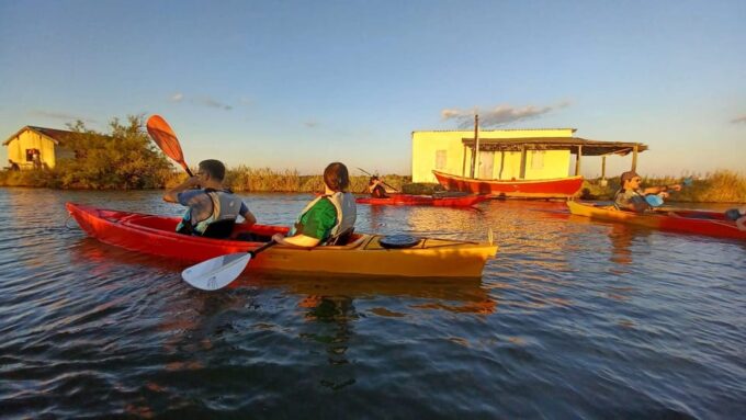 Montpellier: Birdwatching by Kayak in Camargue - Amenities and Facilities