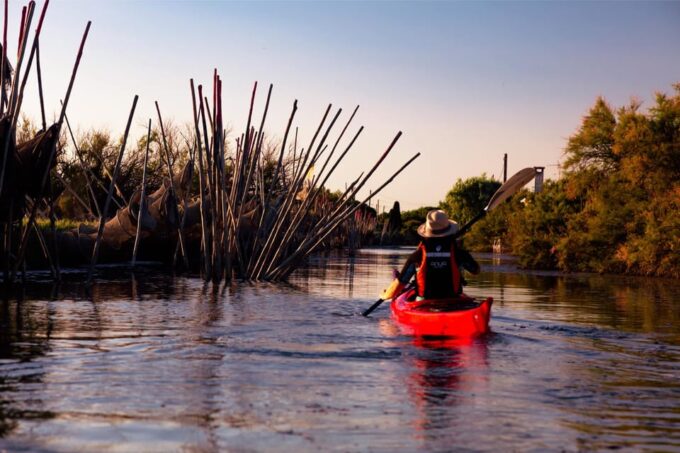 Montpellier: Birdwatching by Kayak in Camargue - Frequently Asked Questions