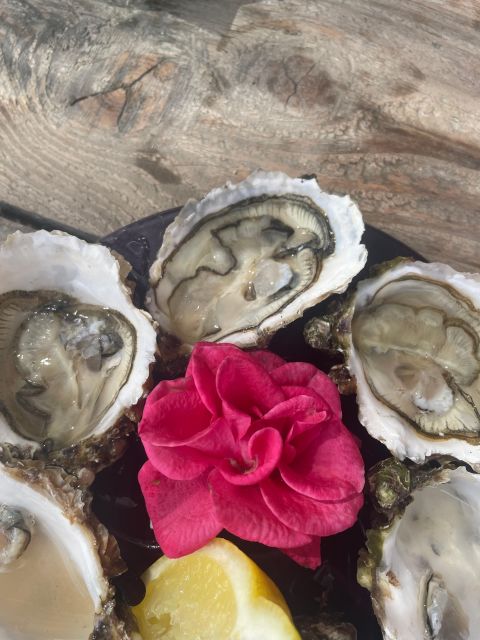 Montpellier: Day Boat Trip, Oysters and Wine - Boat Trip on Etang De Thau