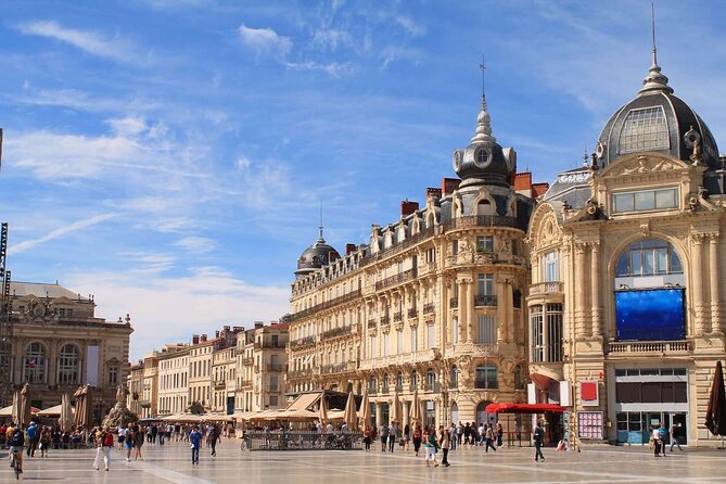 Montpellier Food Tour - Wine Tasting Experiences
