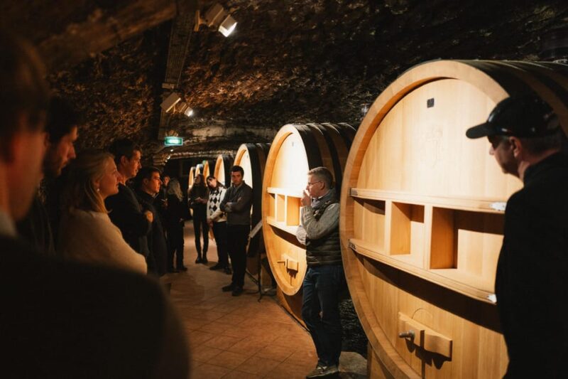 Montpellier: Full Day Truffles and Chateauneuf-Du-Pape Wines - Key Points