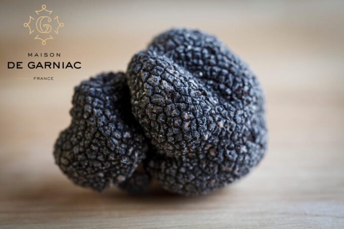 Montpellier: Full Day Truffles and Chateauneuf-Du-Pape Wines - Inclusions and Highlights