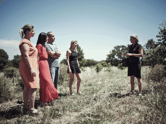 Montpellier: Full Day Truffles and Chateauneuf-Du-Pape Wines - Meeting Point and Transport