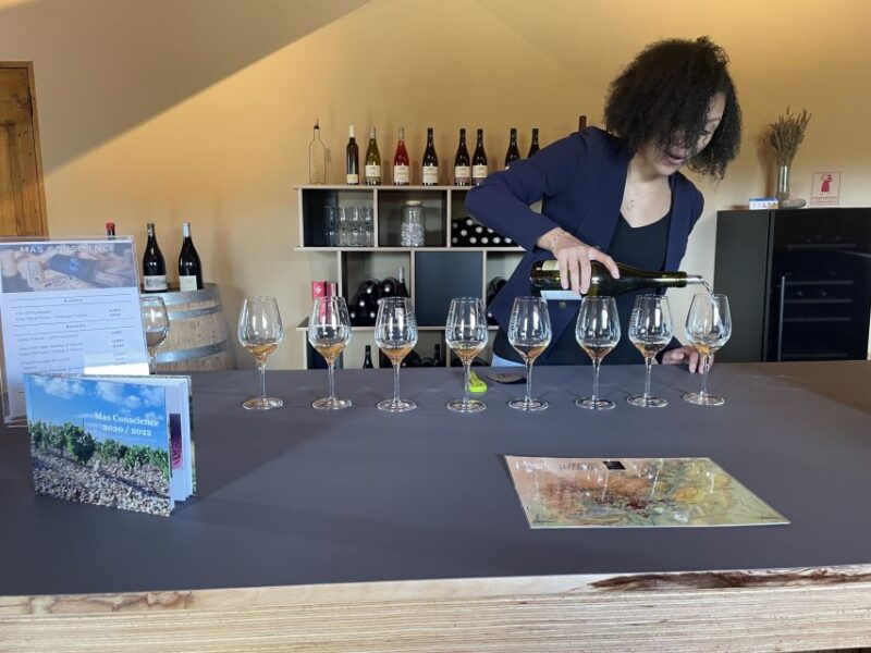 Montpellier: Full-Day Visit to Saint-Guilhem-Le-Désert - Booking Information