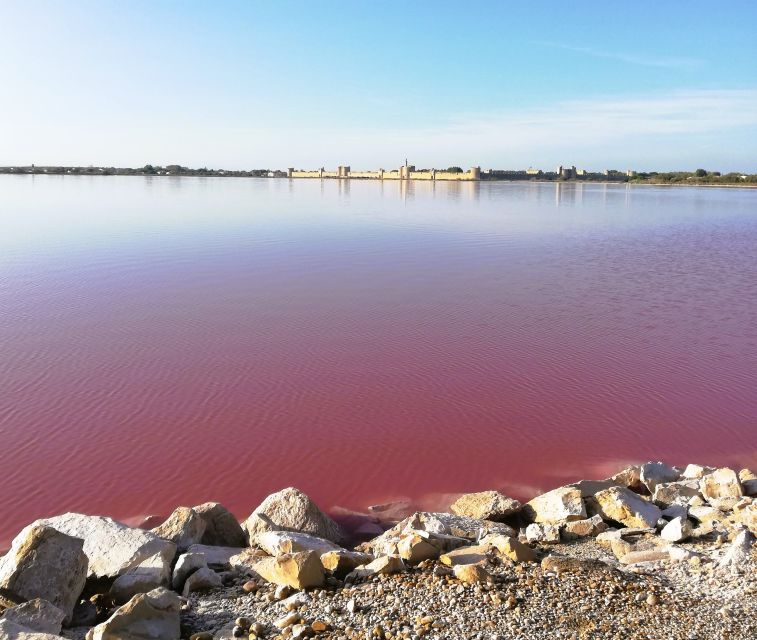 Montpellier: Guided Half-Day Trip to a Camargue Manade - Camargue Manade Experience