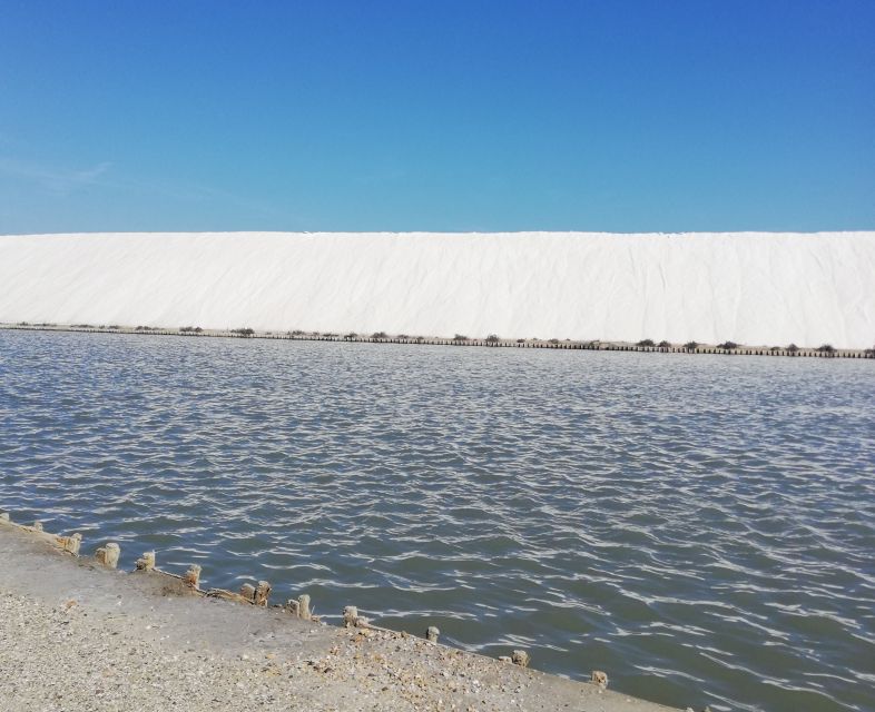 Montpellier: Guided Half-Day Trip to a Camargue Manade - Booking and Cancellation Policy
