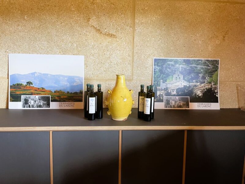 Montpellier: Half-Day Terrasses Du Larzac Wine and Grotto Tour - Key Points