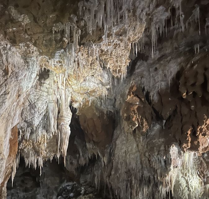 Montpellier: Half-Day Terrasses Du Larzac Wine and Grotto Tour - Inclusions and Exclusions