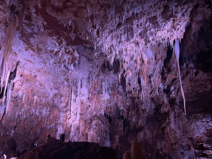 Montpellier: Half-Day Terrasses Du Larzac Wine and Grotto Tour - Winemaker Encounter and Tasting