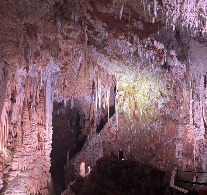 Montpellier: Half-Day Terrasses Du Larzac Wine and Grotto Tour - Returning to Montpellier