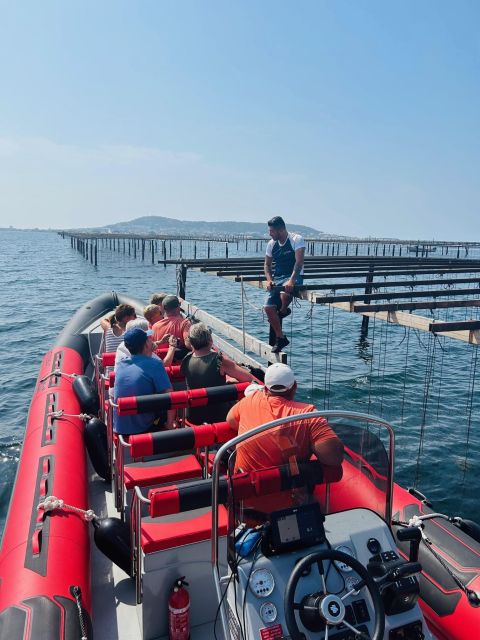 Montpellier: Half-Day Trip to Etang De Thau Lake With Lunch - Inclusions and Exclusions