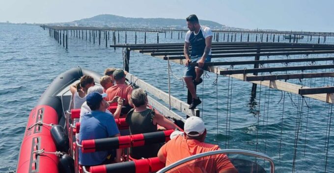 Montpellier: Half-Day Trip to Etang De Thau Lake With Lunch - Activity Cancellation Policy