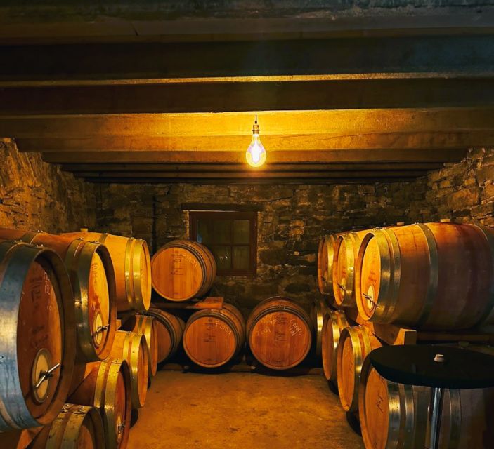 Montpellier: Half-Day Visit and Tasting of Pic St Loup - Itinerary Breakdown