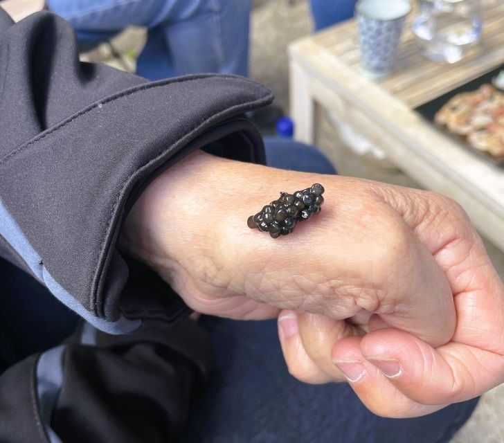 Montpellier: Half Day Wine and Caviar St Guilhem Le Desert - Tour Highlights
