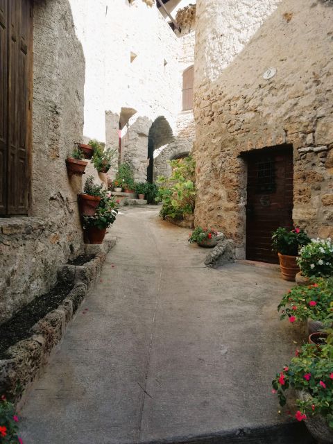 Montpellier: Half Day Wine and Caviar St Guilhem Le Desert - Booking and Cancellation