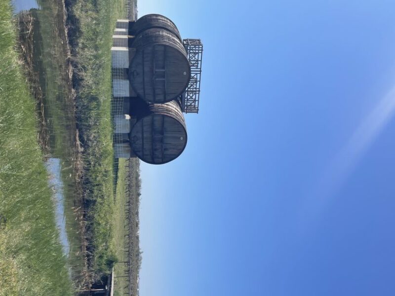 Montpellier: Half Day Wine Tour in Camargue - Winemaking Techniques Explored