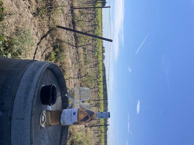 Montpellier: Half Day Wine Tour in Camargue - Cancellation Policy