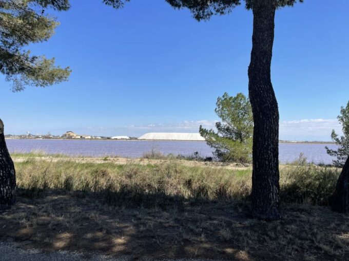 Montpellier: Half Day Wine Tour in Camargue - Frequently Asked Questions