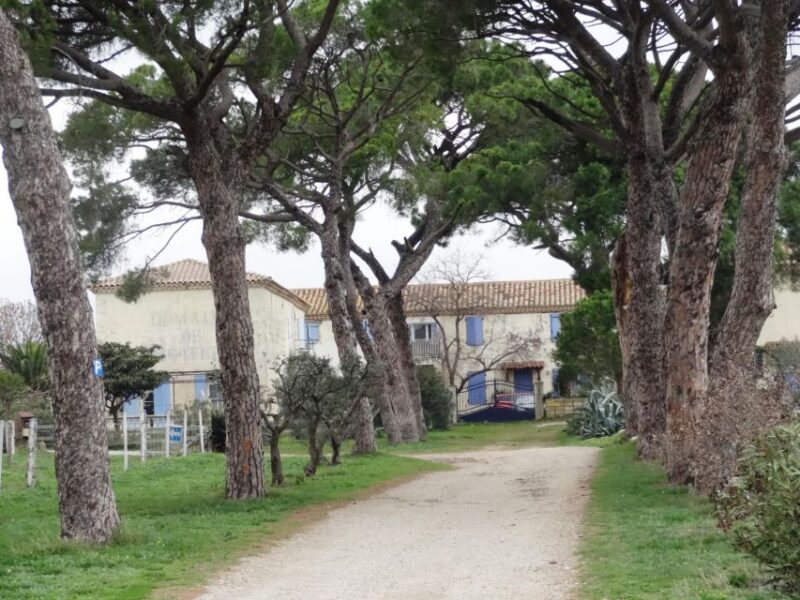 Montpellier: Personalized Day-Tour of the South of France - Visiting Provence and Occitania Villages