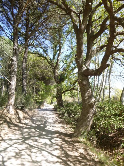 Montpellier: Personalized Day-Tour of the South of France - Crossing the Iconic Pont Du Gard