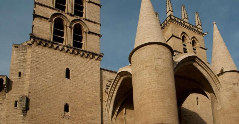 Montpellier - Private Historic Walking Tour - Guided Tour Experience