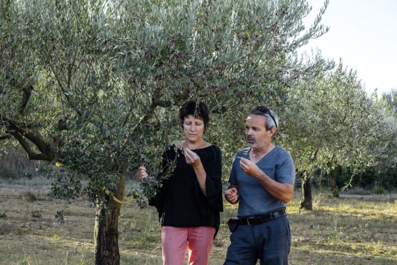 Montpellier : Visit Lavender Field and an Olive Oil Mill - Lavender Field Visit in Summer