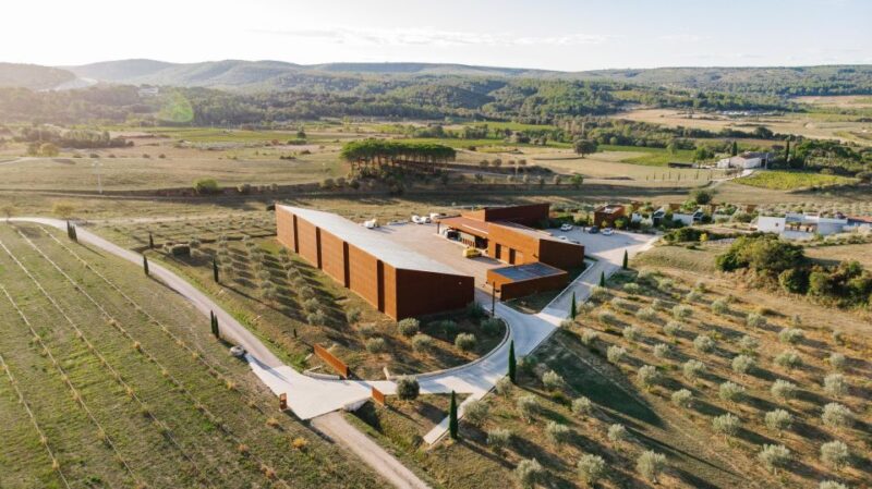 Montpellier : Visit Lavender Field and an Olive Oil Mill - Tour of Authentic Olive Grove