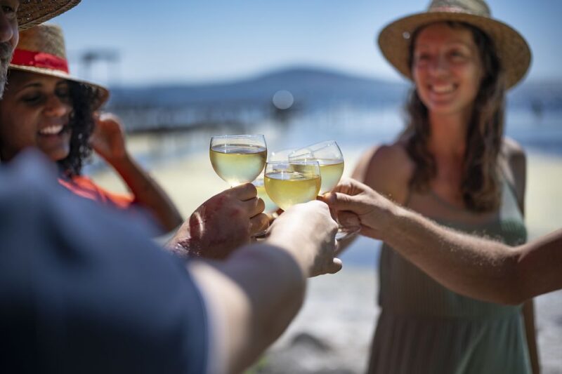 Montpellier Wine and Oyster Tour - Journey to Thau Basin