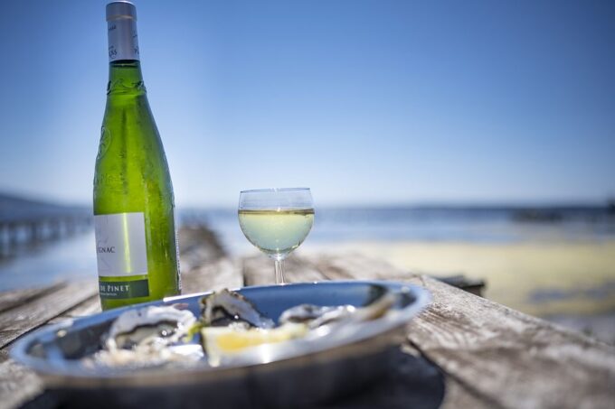Montpellier Wine and Oyster Tour - Highlights of the Tour
