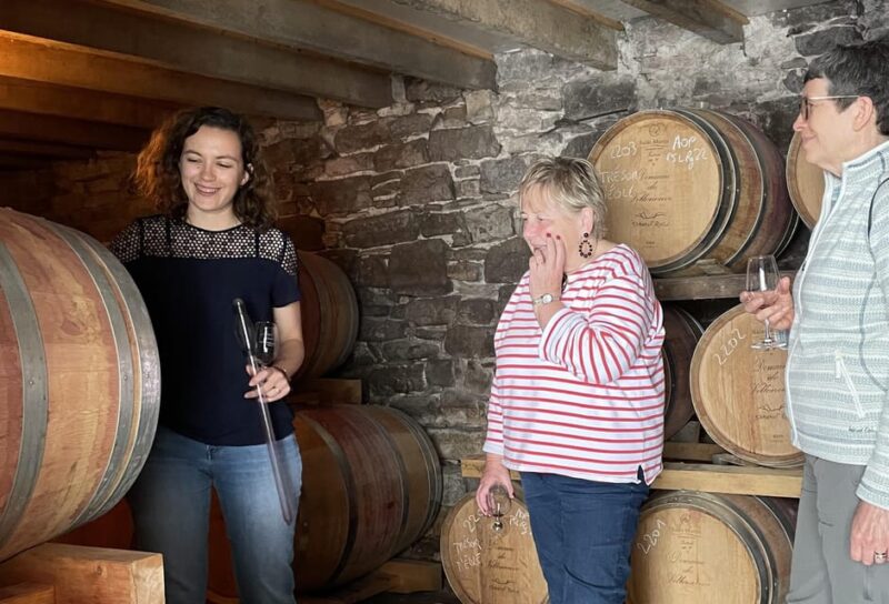Montpellier: Wine Tour Pic St Loup - Key Points