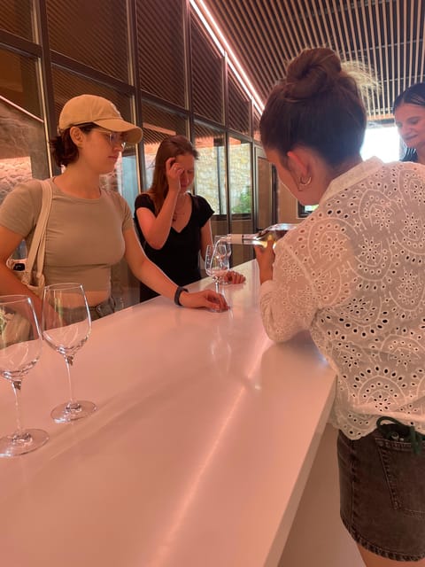 Montpellier: Wine Tour Pic St Loup - Customer Reviews