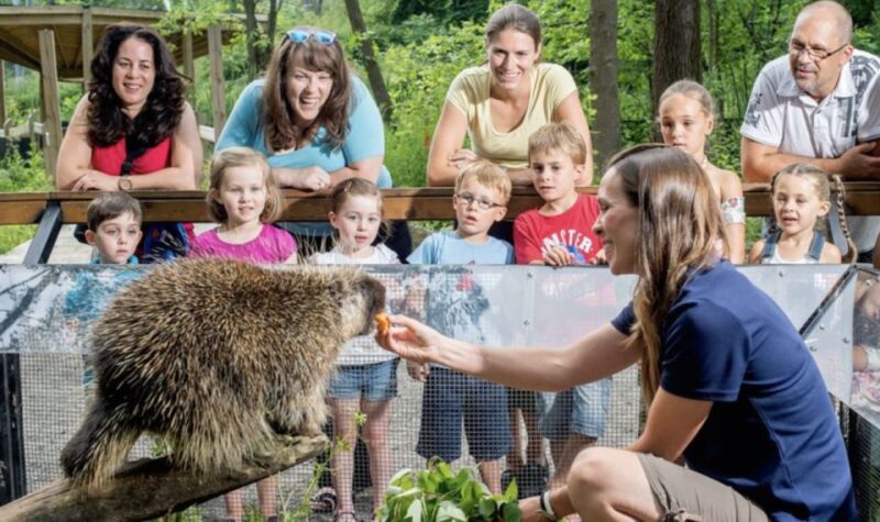 Montreal: 5 Attractions Pass - Blue Collection Offerings