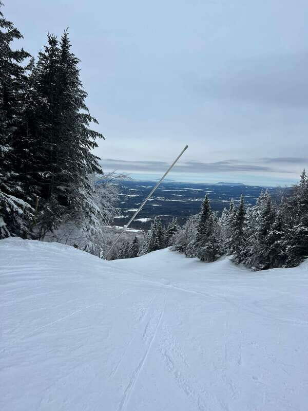 Montreal: Canadian Forest Guided Tour by Snowmobile - The Sum Up