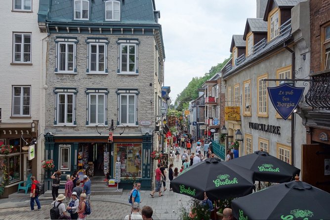 Montreal City Sightseeing Tour With Live Commentary - Top Attractions Highlighted